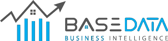 BaseData Business Intelligence